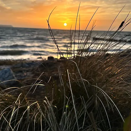 Blockhaus Ruegen - Natur, Und Mee * Dranske
