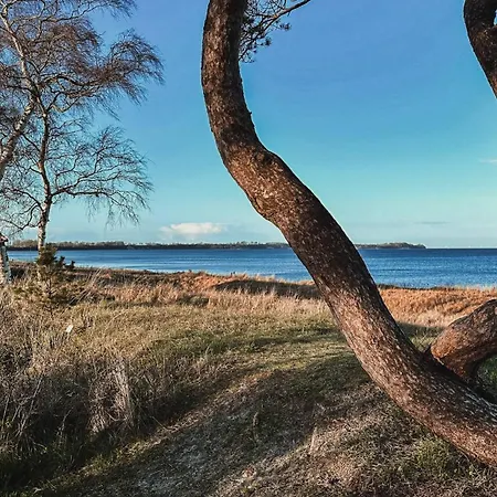 Feriehus Blockhaus Ruegen - Natur, Und Mee *